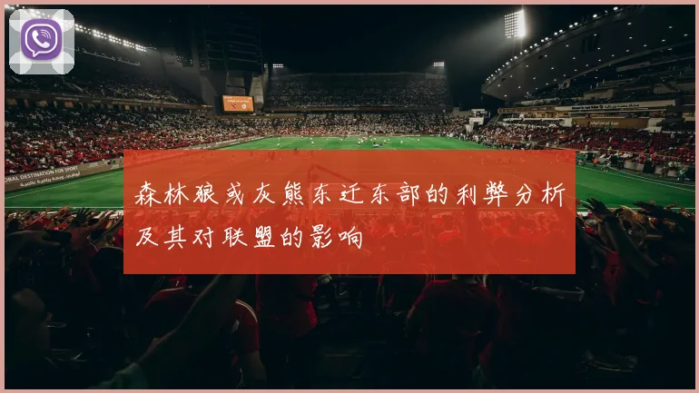 森林狼或灰熊东迁东部的利弊分析及其对联盟的影响